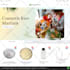install and customize  journal 3 theme opencart