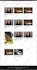 create a responsive wordpress website design or blog