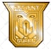 do amazing esports sports and twitch logo