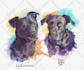 do a custom pet portrait, dog portrait, cat portrait