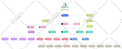 design an editable organization chart, family tree diagram