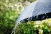 create rain video with natural sound in a cozy room