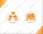 design illustrations icons set svg and vector