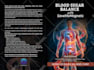 design amazing book cover, ebook cover with 3d mockups