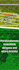 design creative banner ads for google adwords