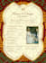 design save the date wedding invitation card