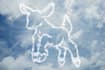 transform your text logo in cloud effect formed by aircraft