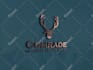 design unique logo design with copyright