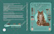 create beautiful cover and back cover for your book or cd