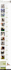 design redesign, and develop a wordpress website for business or ecommerce
