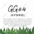 create cannabis content for social media