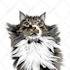 draw minimalist realistic pet vector art