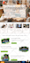 create a professional wordpress website design