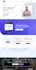 create mobile friendly wordpress website design