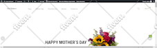 convert psd, xd, sketch to wordpress website