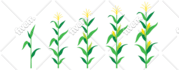do a clipart, line art or coloring page