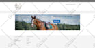 work, fix or customize your magento 1 or 2 website
