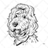 draw funny pet mascot character