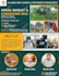 design credit repair tax, travel and event flyer with motion