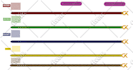 design fashion belts and accessories