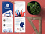 design creative infographics and charts for web and print