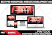 design or develop pro wordpress blog website