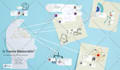 make professional prezi presentations