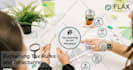 make professional prezi presentations