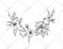 create plant, flowers line art vector