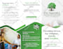 design professional business flyer