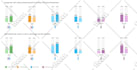 design professional infographic graph and data visualization