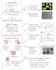 design graphical abstracts, medical and scientific illustrations and figures