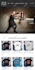 build shopify website,shopify store and dropshipping store with premium theme