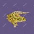 draw detail animal illustration