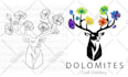 vectorize any logo or image in 24h, using adobe illustrator