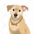 draw your pet portrait into cute disney style