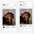set up facebook ads, meta ads, fb marketing advertising campaign