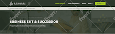 build or redesign a professional squarespace website