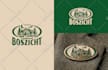design a professional and timeless logo