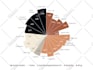design vector graph, pictograph, 3d pie chart in illustrator