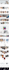 do professional shopify store design and redesign