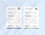 design ebook, PDF lead magnet, workbook, white paper