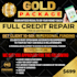do credit repair silver gold platinum package flyer
