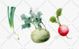 paint any fruit or vegetable with watercolors