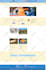 build wordpress website design development