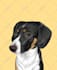 draw minimalist vector pet,dog,cat potraits