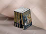 do book formatting and layout design for paperback and ebook