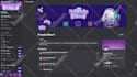 setup a professional custom discord server