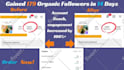 do fast organic instagram growth