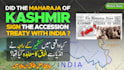 design youtube urdu thumbnails banners and social media post